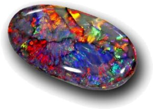 OCT-Opal